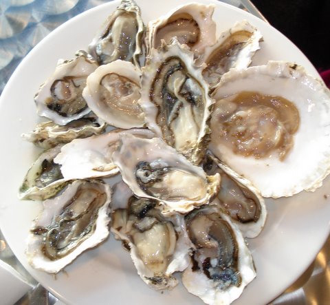 Oysters at Carafe.JPG